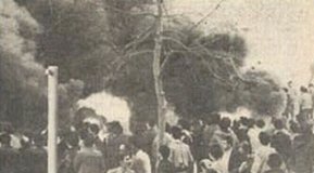 паок-панатинаикос, 1980